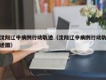沈阳辽中病例行动轨迹（沈阳辽中病例行动轨迹图）