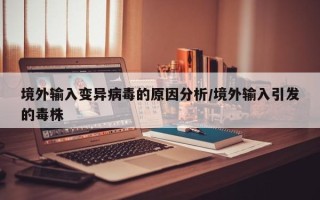 境外输入变异病毒的原因分析/境外输入引发的毒株
