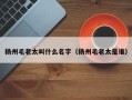 扬州毛老太叫什么名字（扬州毛老太是谁）