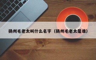 扬州毛老太叫什么名字（扬州毛老太是谁）