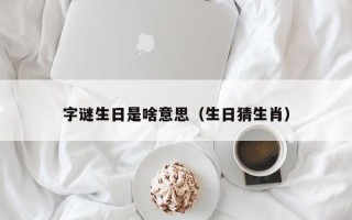 字谜生日是啥意思（生日猜生肖）