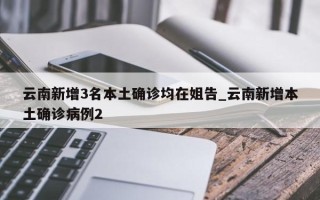 云南新增3名本土确诊均在姐告_云南新增本土确诊病例2