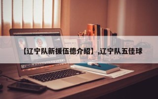 【辽宁队新援伍德介绍】,辽宁队五佳球