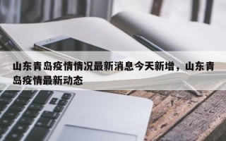 山东青岛疫情情况最新消息今天新增，山东青岛疫情最新动态