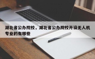 湖北省公办院校，湖北省公办院校开设无人机专业的有哪些