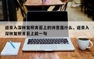 返景入深林复照青苔上的诗意是什么，返景入深林复照青苔上前一句
