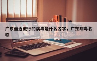 广东最近流行的病毒是什么名字，广东病毒名称
